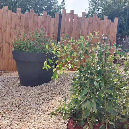 La Petite Bohème, Sauna Lorquin